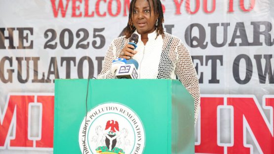 Ogoni clean up quarterly review meeting
