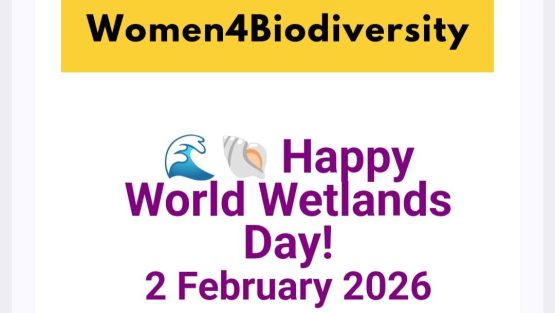 World Wetlands Day